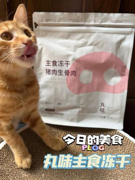 宠物训练师(让它乖乖听话)