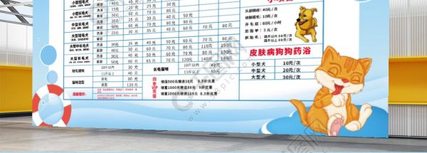 宠物诊所(哪家诊所技术过硬又价格合理)