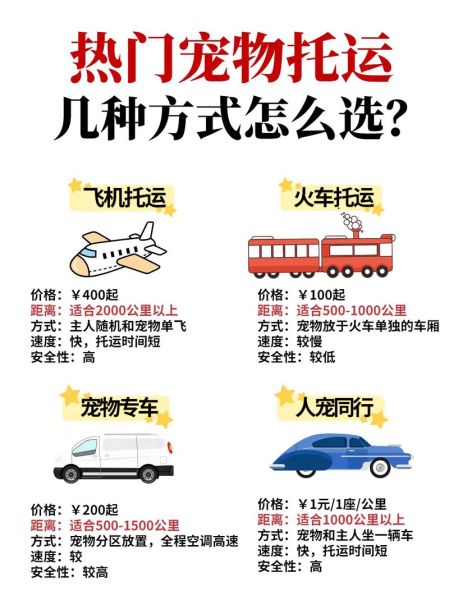 宠物货运托运(哪些细节需要注意)