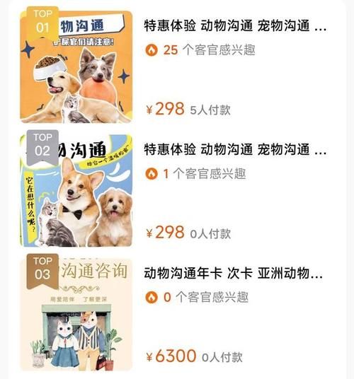 宠物资讯( 如何才能和宠物建立良好的沟通和情感联系)