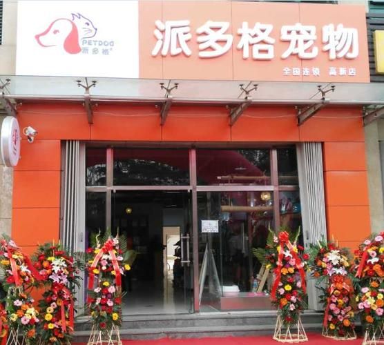 宠物连锁店加盟(加盟哪个品牌靠谱)