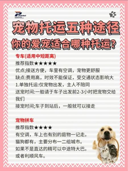 宠物铁路托运(火车托运流程是怎么样的)