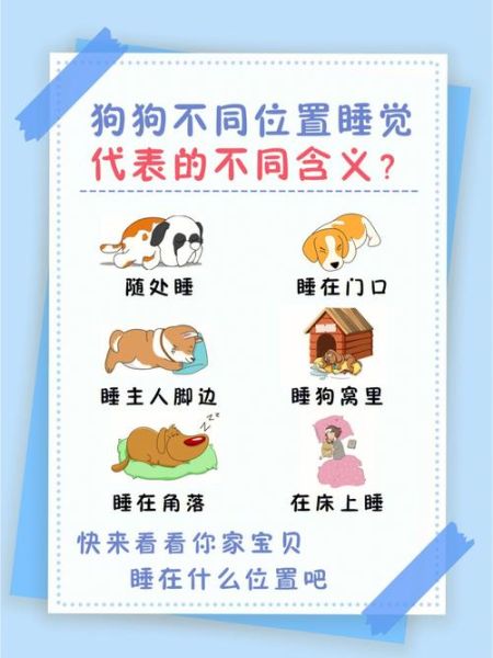 宠物问答(幼犬和成年狗睡眠时间大不同)