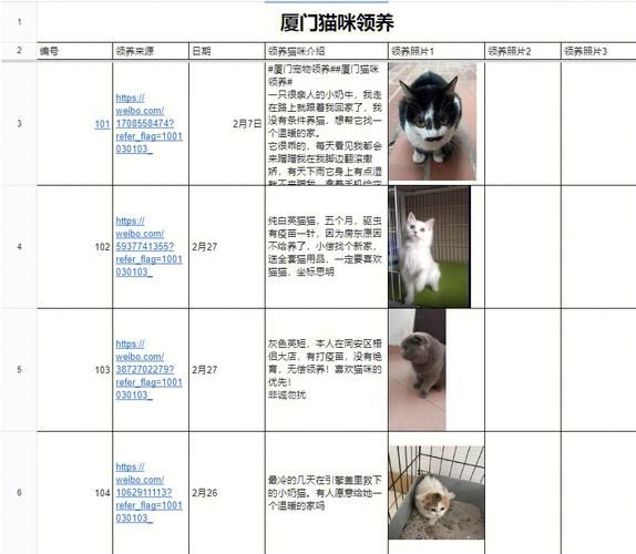 宠物领养( 领养前要注意哪些问题)