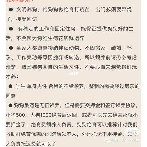 宠物领养( 领养前要注意哪些问题)
