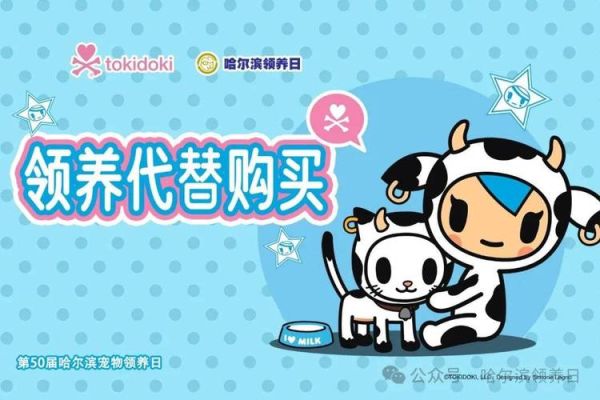 宠物领养平台(哪个更适合你)
