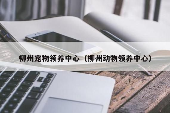 宠物领养网(宠物领养网带你感受爱与陪伴)