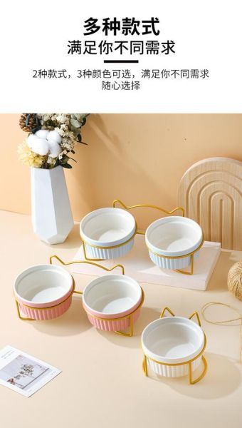 宠物餐具(到底什么样的猫餐具最适合你的猫咪)
