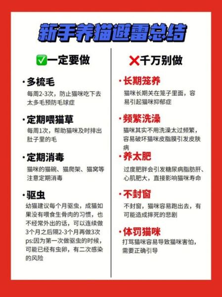 宠物饲养法( 新手铲屎官都遇到过哪些坑)