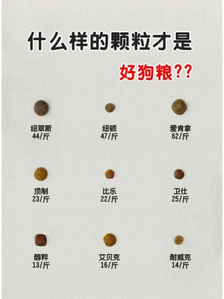 宠物饲料(选狗粮有什么技巧吗)