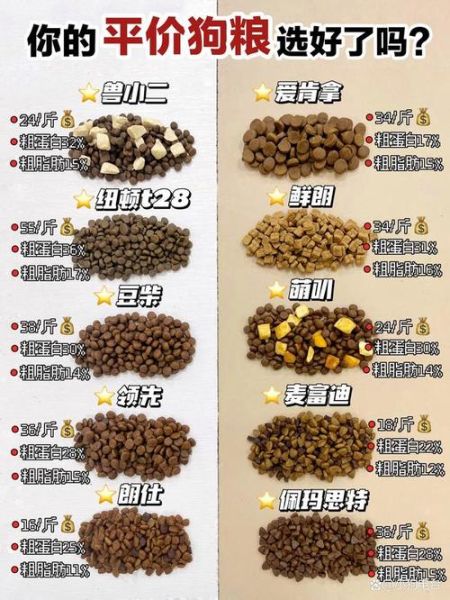 宠物饲料(选狗粮有什么技巧吗)