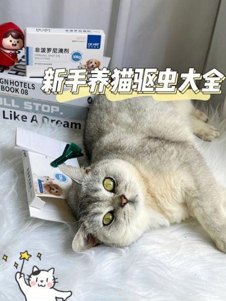 宠物驱虫多少钱(到底有没有必要经常驱虫)