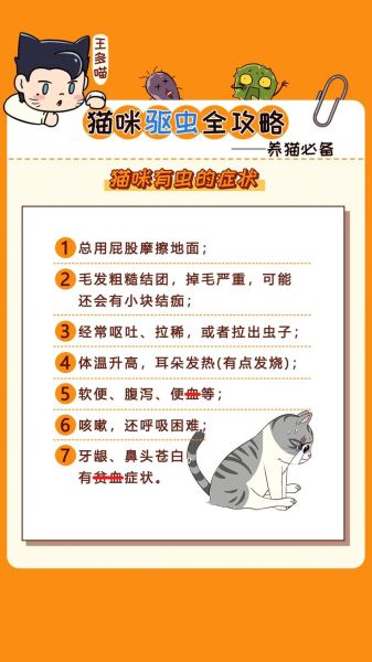 宠物驱虫怎么办(如何选择正确驱虫方案)