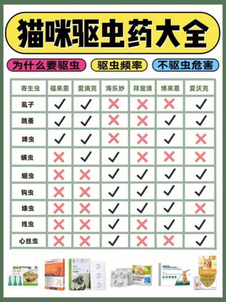 宠物驱虫怎么办(如何选择正确驱虫方案)