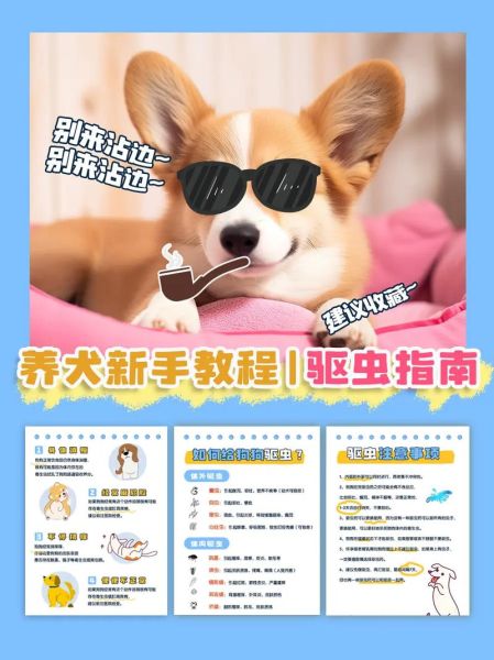宠物驱虫怎么驱(什么驱虫方式最有效)