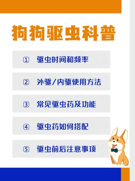 宠物驱虫怎么驱(什么驱虫方式最有效)