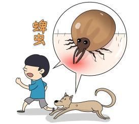 宠物鼠(它们咬人怎么办)
