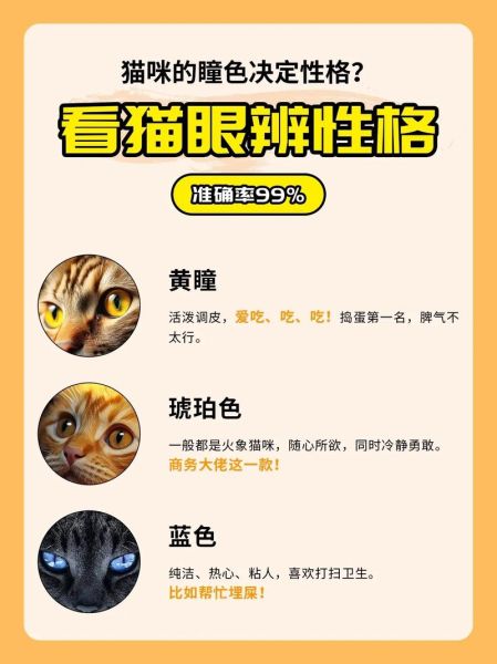 家猫品种(你喜欢哪种猫的性格)