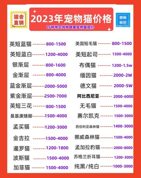 家猫多少钱(先了解下市场价吧)