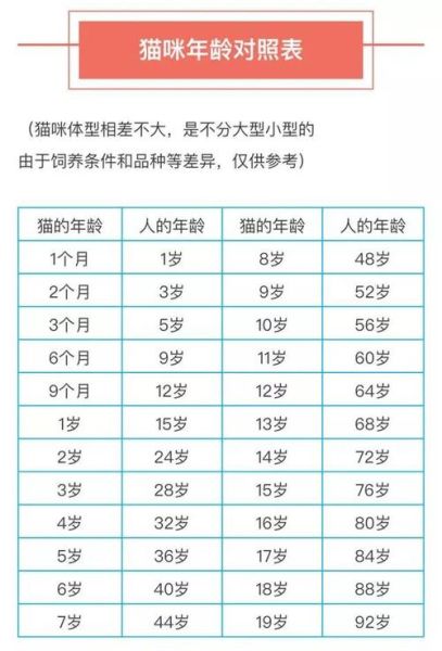 家猫的寿命(养护得当能活到20岁吗)