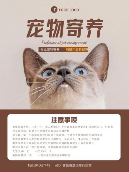 寄养宠物(哪个更适合你的毛孩子)