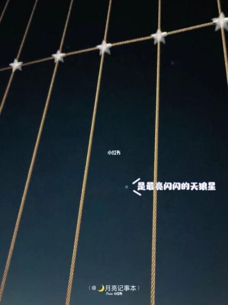 寻回的秘籍( 找东西的秘诀是什么)