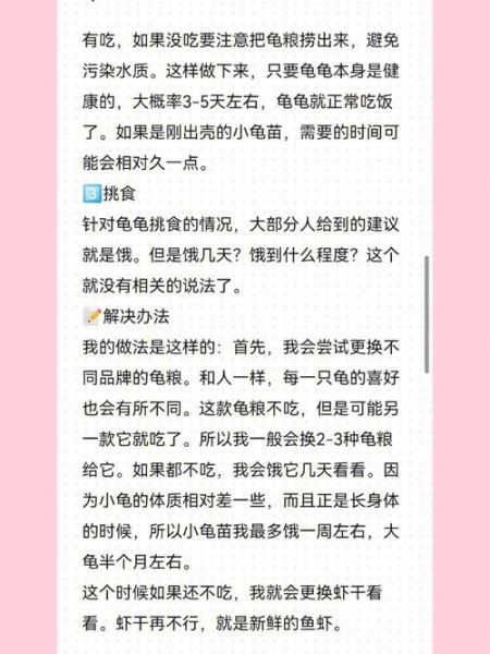 小乌龟不吃东西怎么办(怎么才能让它开食)