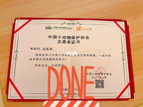 小动物保护协会(到底做了什么)