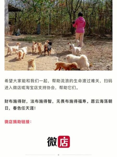 小动物保护协会(到底做了什么)