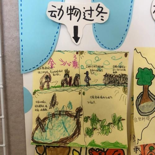 小动物怎样过冬(它们有自己的过冬妙招吗)