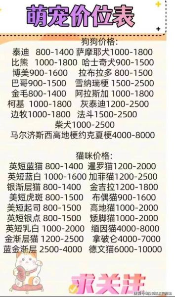 小型宠物狗价格(怎么才能买到性价比高的宠物狗)