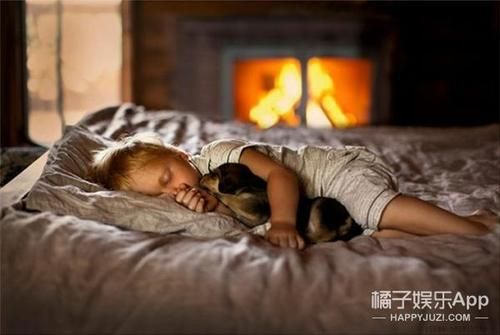 小孩 狗(谁更需要保护)
