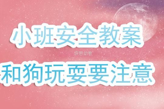 小孩狗(需要注意哪些安全问题)