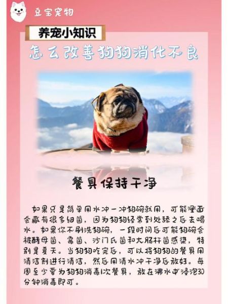 小狗一直拉稀怎么办(要怎么才能治好它)
