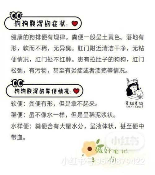 小狗一直拉稀怎么办(要怎么才能治好它)