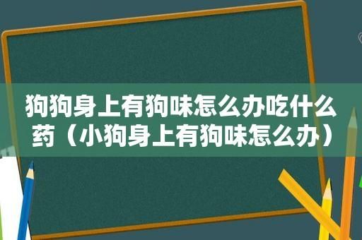小狗吃多了怎么办( 怎么才能让它舒服点)