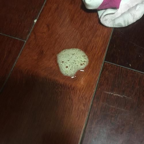 小狗呕吐拉稀(该怎么给它保暖呢)