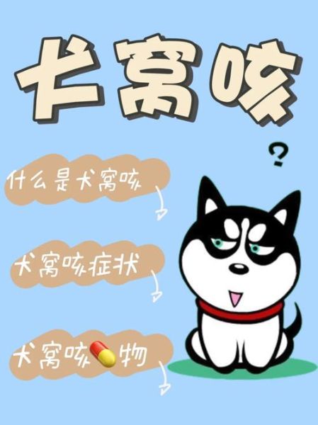 小狗咳嗽怎么办(是不是有什么大病)