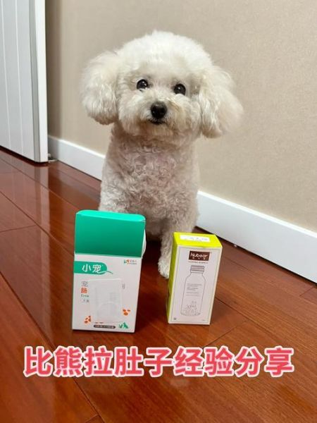 小狗拉稀(还是需要去看医生呢)