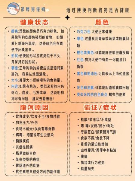小狗拉稀了怎么办(它是不是吃坏了肚子呀)