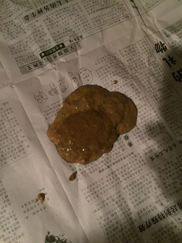 小狗拉稀了怎么办(它是不是吃坏了肚子呀)
