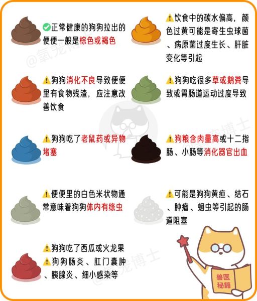 小狗拉稀呕吐怎么办(还是被什么东西感染了)