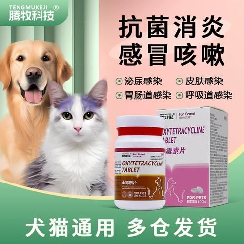 小狗拉稀怎么办(要喂什么药才有效)