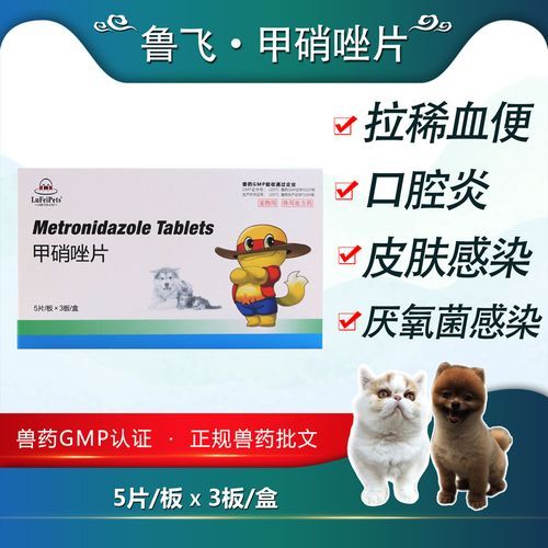 小狗拉肚子吃什么药(哪些药会伤到狗狗)