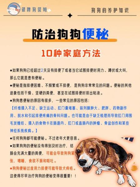 小狗拉肚子怎么办(怎么才能让它快快好起来)