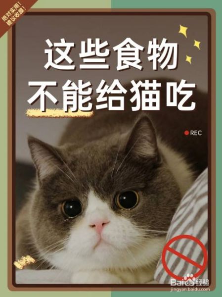 小猫中毒(它是不是吃了不该吃的东西)