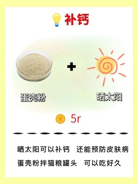 小猫吃什么(生鸡蛋和熟鸡蛋哪个好)
