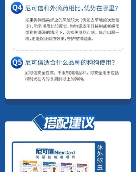 尼可信(狗狗会变得更健康吗)