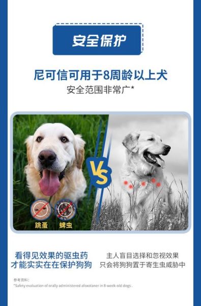 尼可信(狗狗会变得更健康吗)