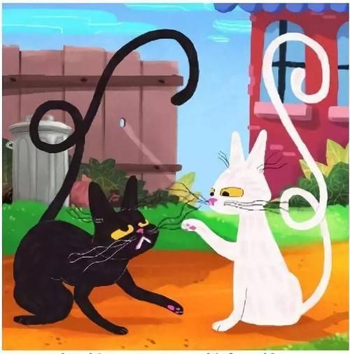 巧克力猫(白巧克力猫和黑巧克力猫的互动有多有趣)